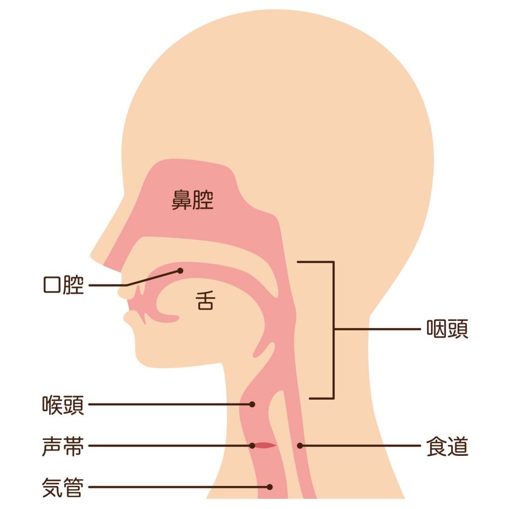 喉 と 耳 と 頭 が 痛い 片側