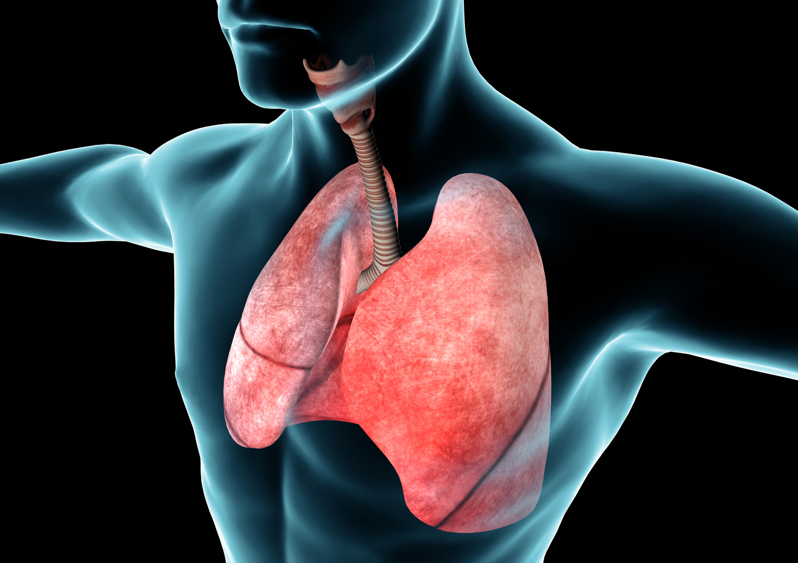 症状・疾患別受診すべき医療機関－⑯呼吸器の疾患・症状：呼吸器内科、呼吸器外科